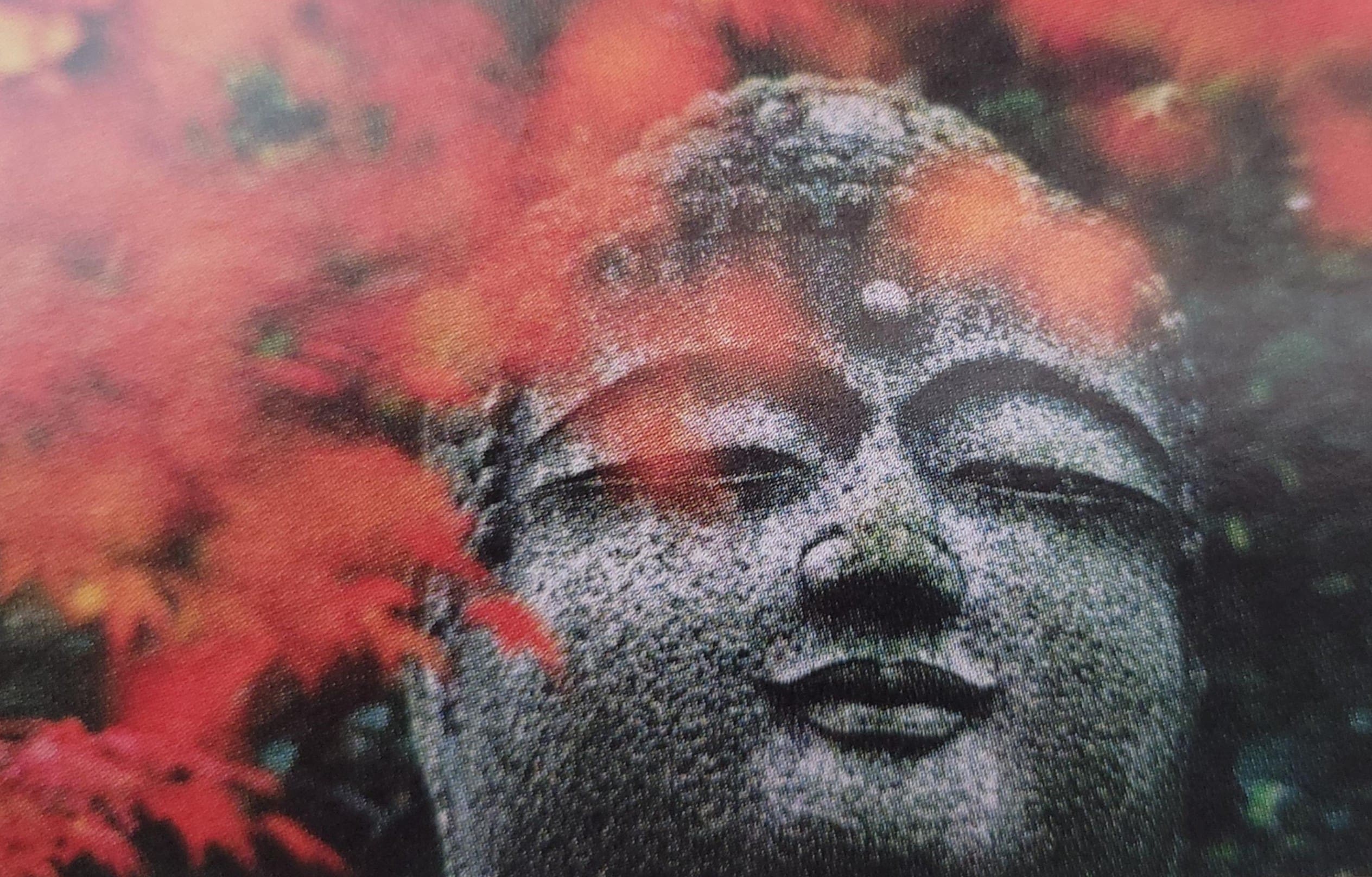 Stone Buddha statue head with red foliage