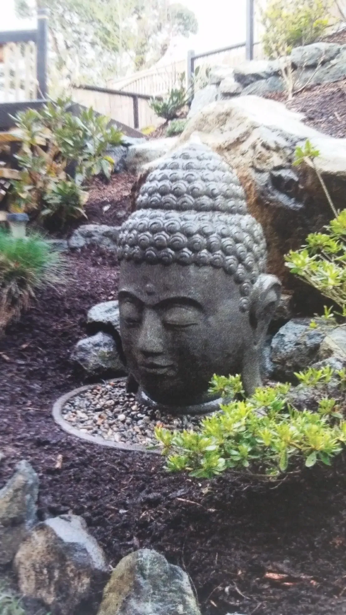 Buddha head statue in a garden setting.
