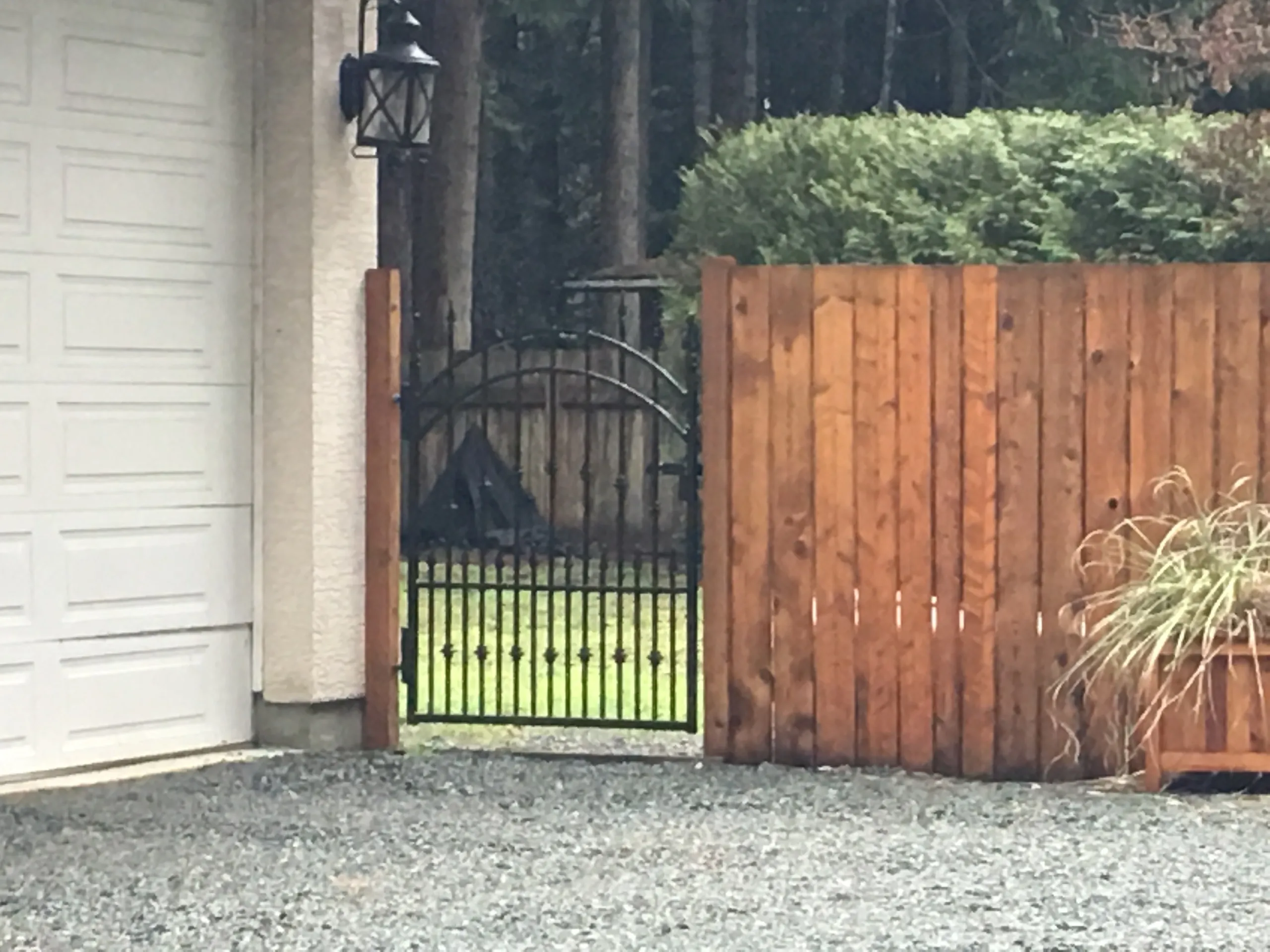 Wooden fence with a black metal gate.